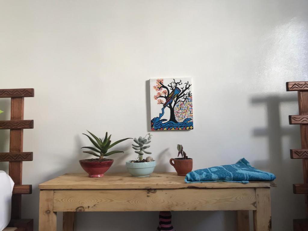 Binic Surf House Bed and Breakfast Taghazout Εξωτερικό φωτογραφία