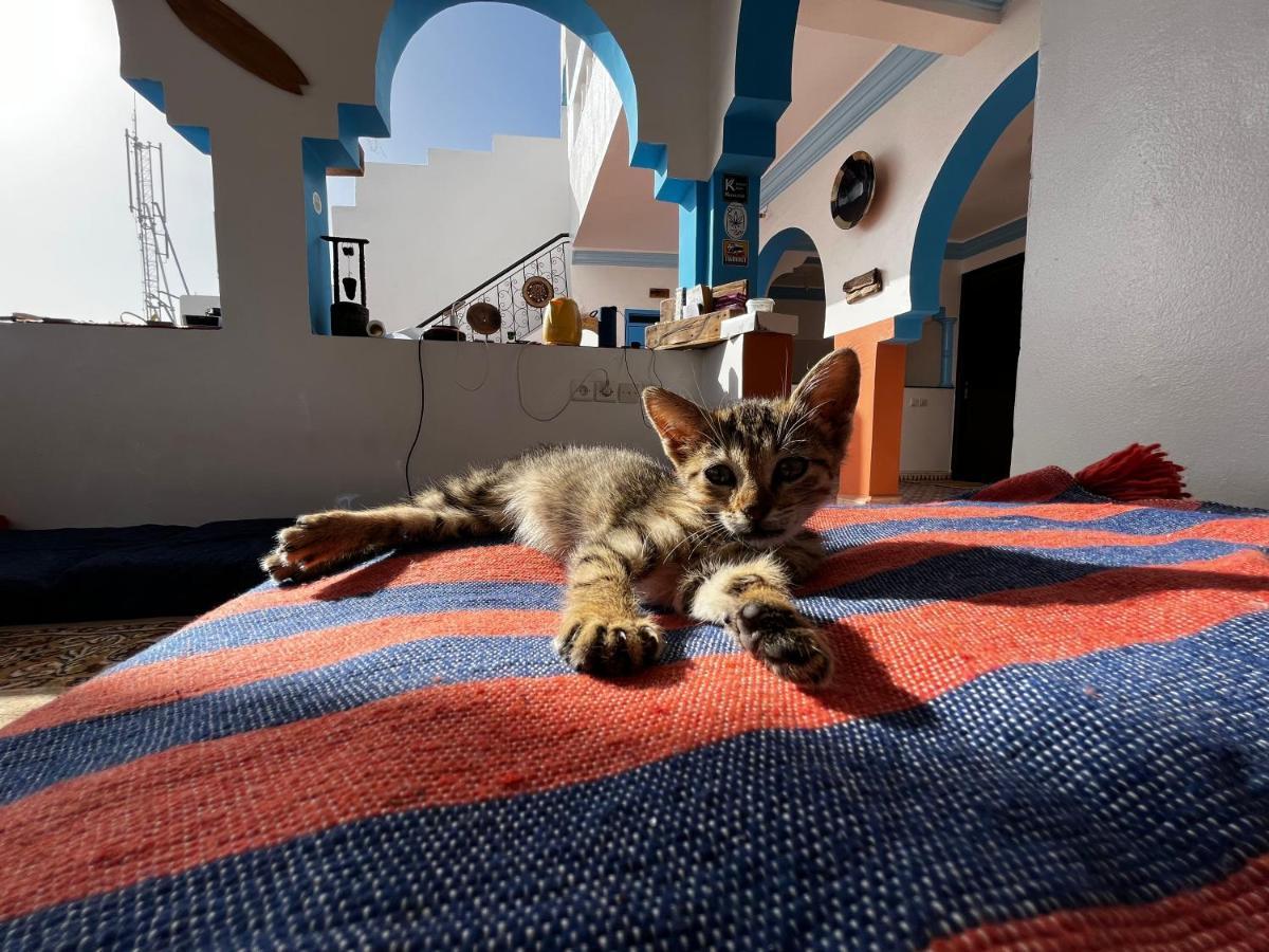 Binic Surf House Bed and Breakfast Taghazout Εξωτερικό φωτογραφία